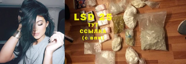 mdpv Вяземский