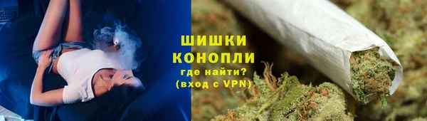 PSILOCYBIN Волосово