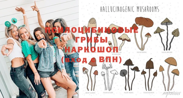 PSILOCYBIN Волосово