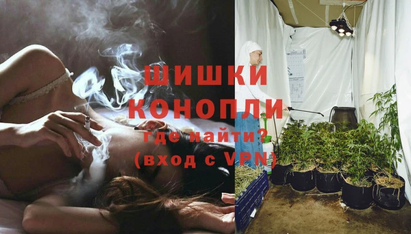 PSILOCYBIN Волосово
