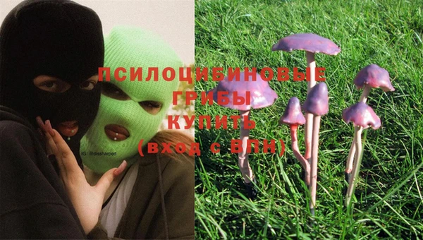 бошки Володарск