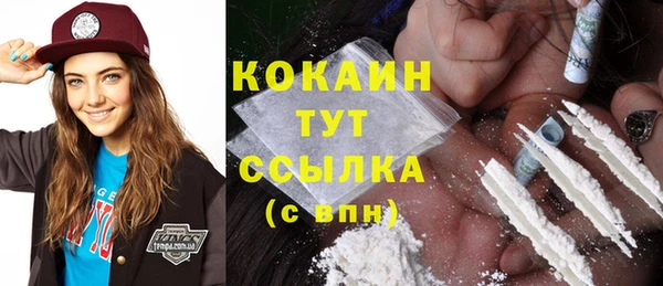 мдпв Верхний Тагил