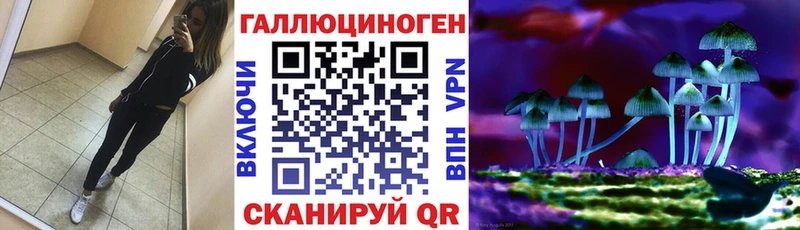 Псилоцибиновые грибы Psilocybine cubensis  Дудинка 